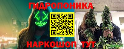 прущая мука Будённовск