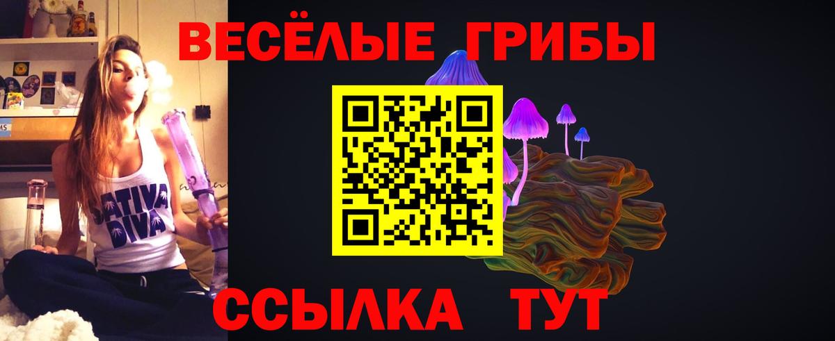 Новочеркасск  Псилоцибиновые грибы Cubensis  Вход с VPN 